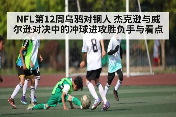 NFL第12周乌鸦对钢人 杰克逊与威尔逊对决中的冲球进攻胜负手与看点